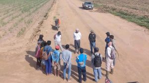 Suasana pekerja di PT. Gunung Madu | Gambar : Heru Jurnalis Saliwa.ID