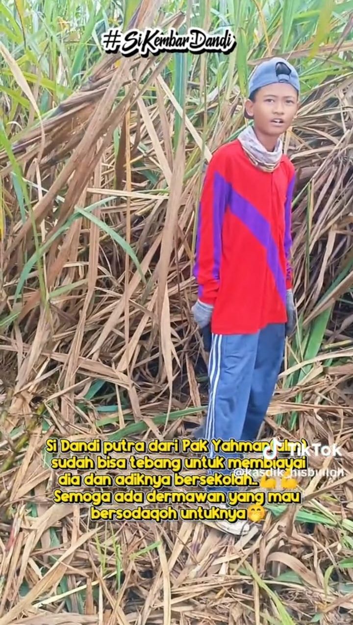 Pekerja Anak Dibawah Umur